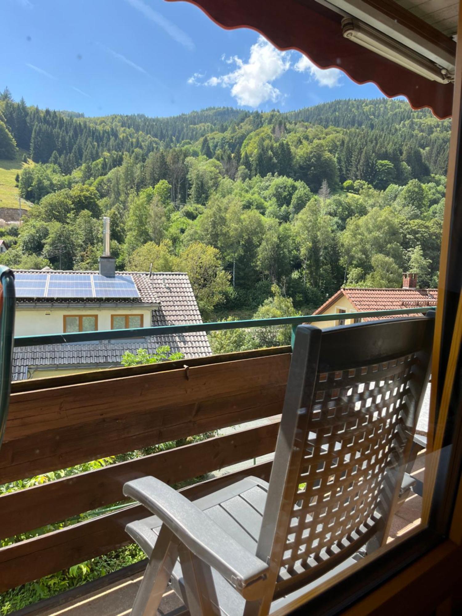 Steiert Panorama Apartments Todtnau Exterior foto